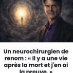 Ce que cachait la plante d’intérieur léguée par ma belle-mère : une révélation qui a bouleversé ma vie