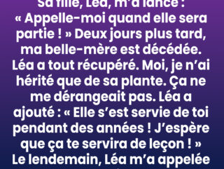 Ce que cachait la plante d’intérieur léguée par ma bellemère une — free download